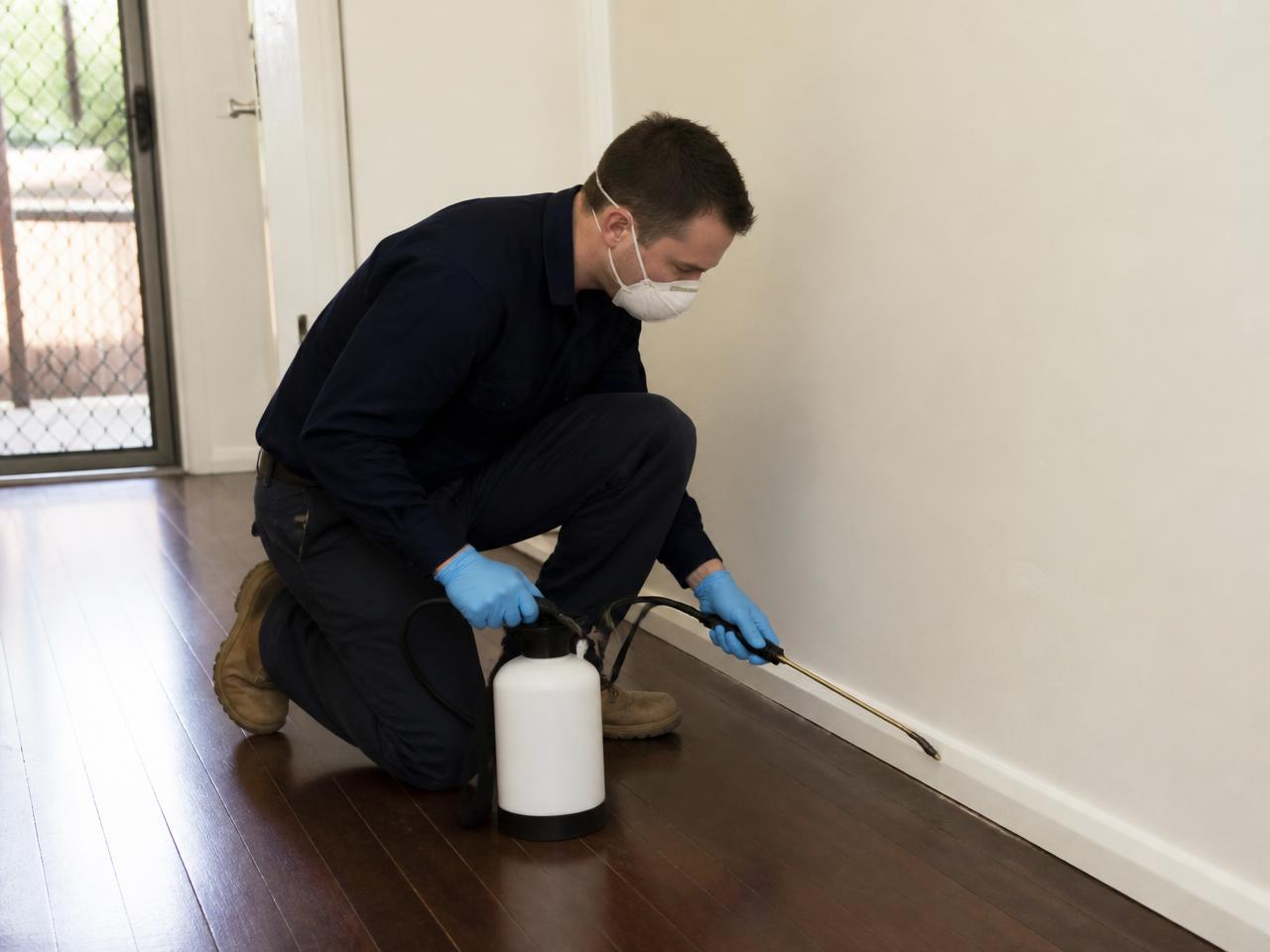 Pest technician treating along interior skirting boards of an empty home